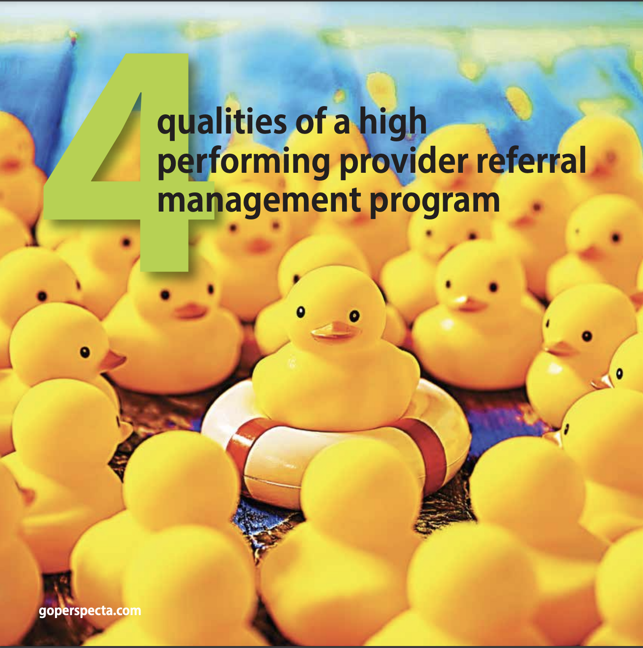 4 Qualities of a HighPerforming Referral Program eBook Perspecta